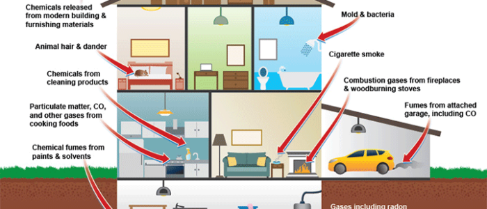 Indoor Air Quality House